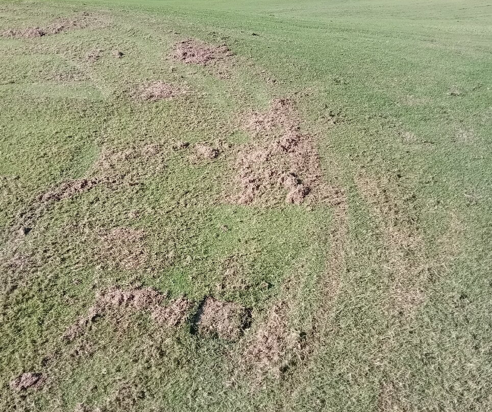 Zimbali Golf Course-德班必去景点