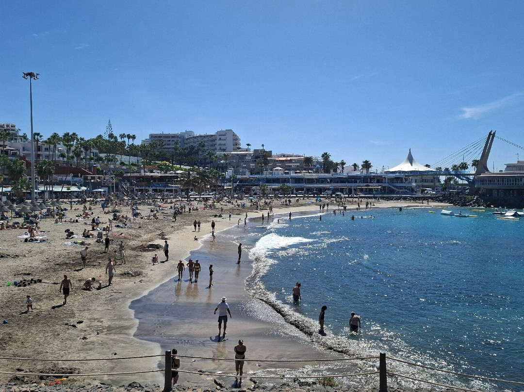 Playa de la Pinta景点图片