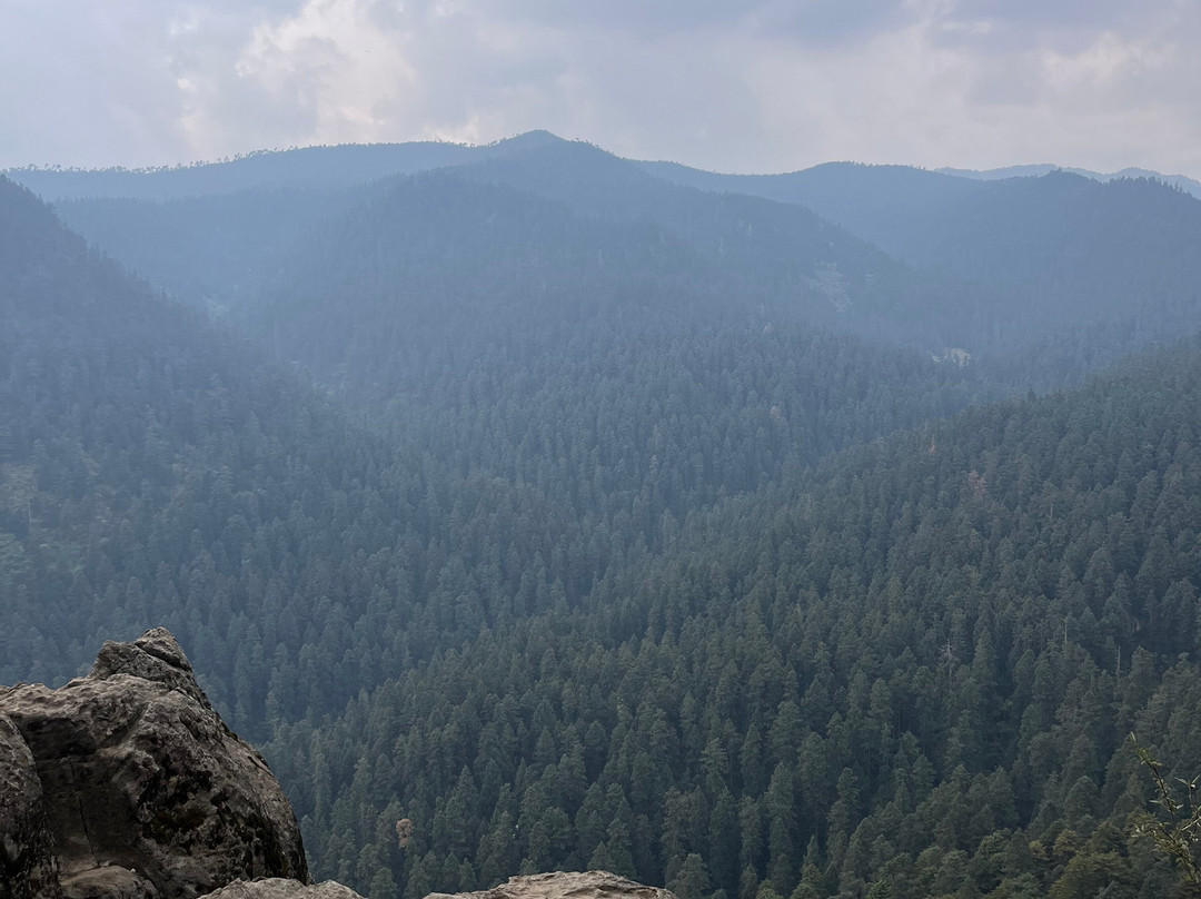 Los Dinamos-墨西哥城必去景点