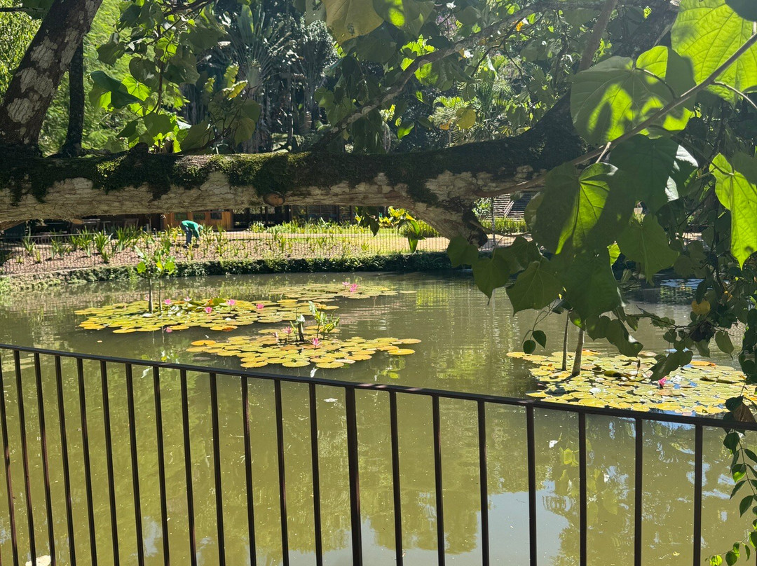Fazenda Bananal景点图片