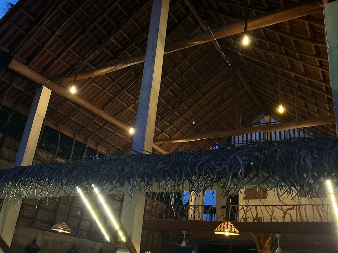 Turtle Paradise主图