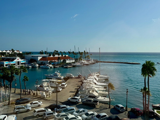 阿鲁巴岛万丽度假酒店及娱乐场主图