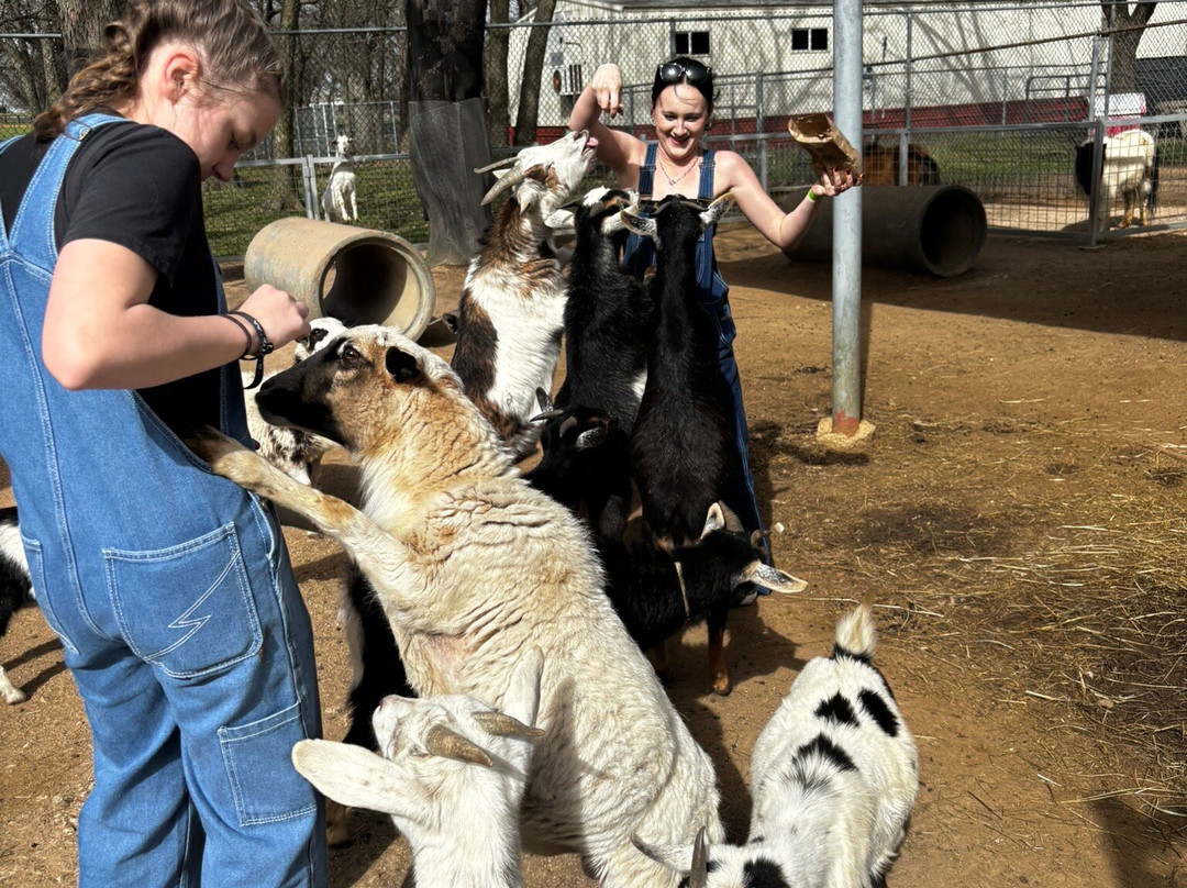 Sharkarosa Wildlife Ranch-Pilot Point必去景点