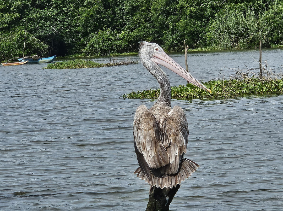 Adventures with Ravi-阿杭玛必去景点
