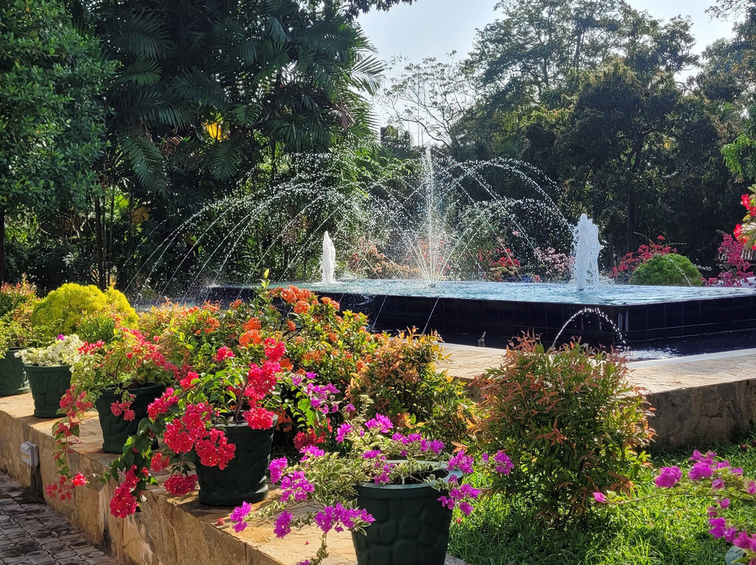 森脱维亚湖度假酒店主图