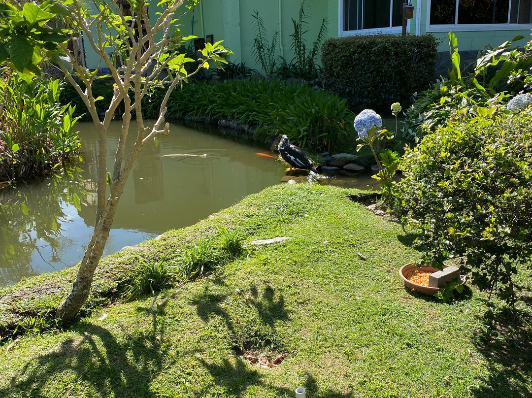 El Oasis Hotel & Restaurant主图