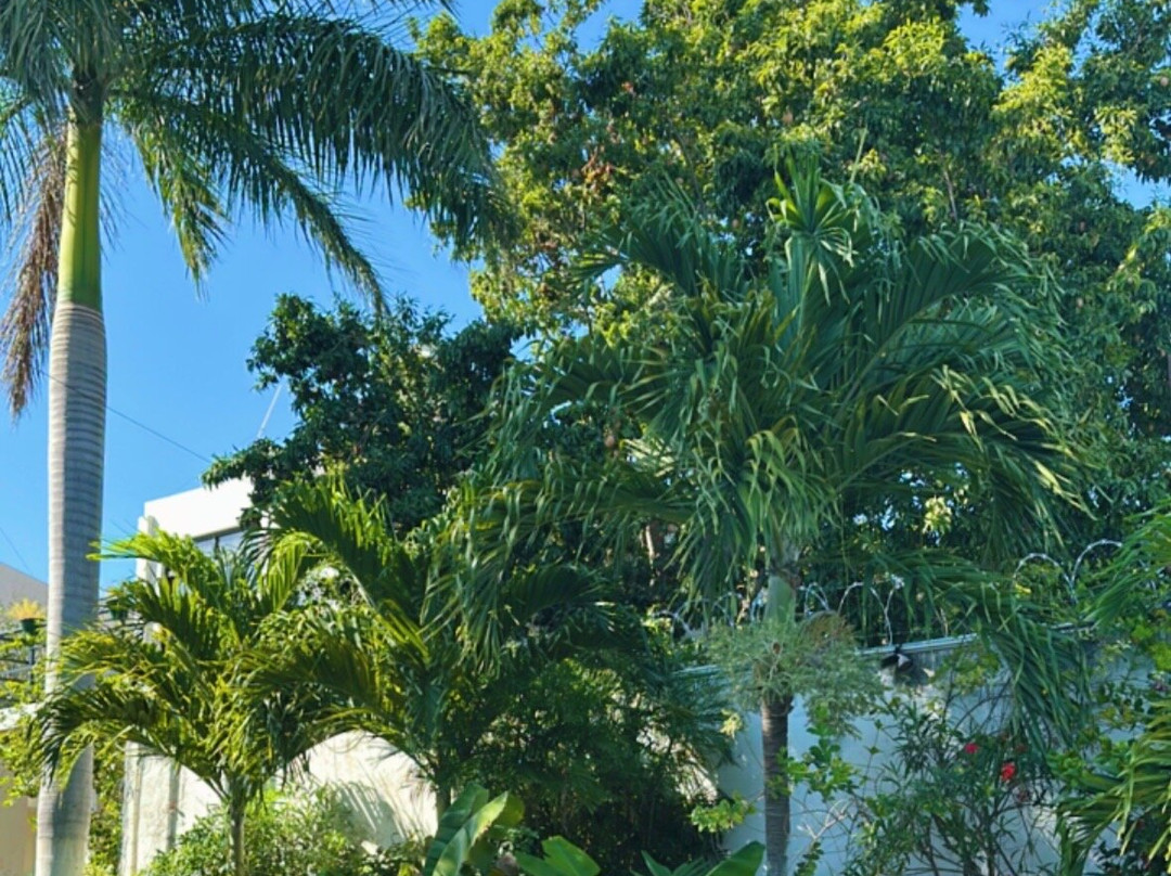 Hotel Villa Escondida Campeche主图