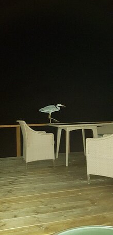 坎董路壶岛酒店主图