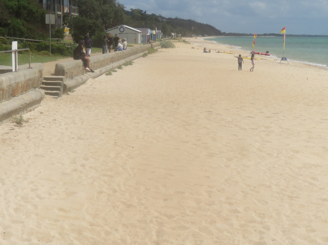 Dromana Pier景点图片