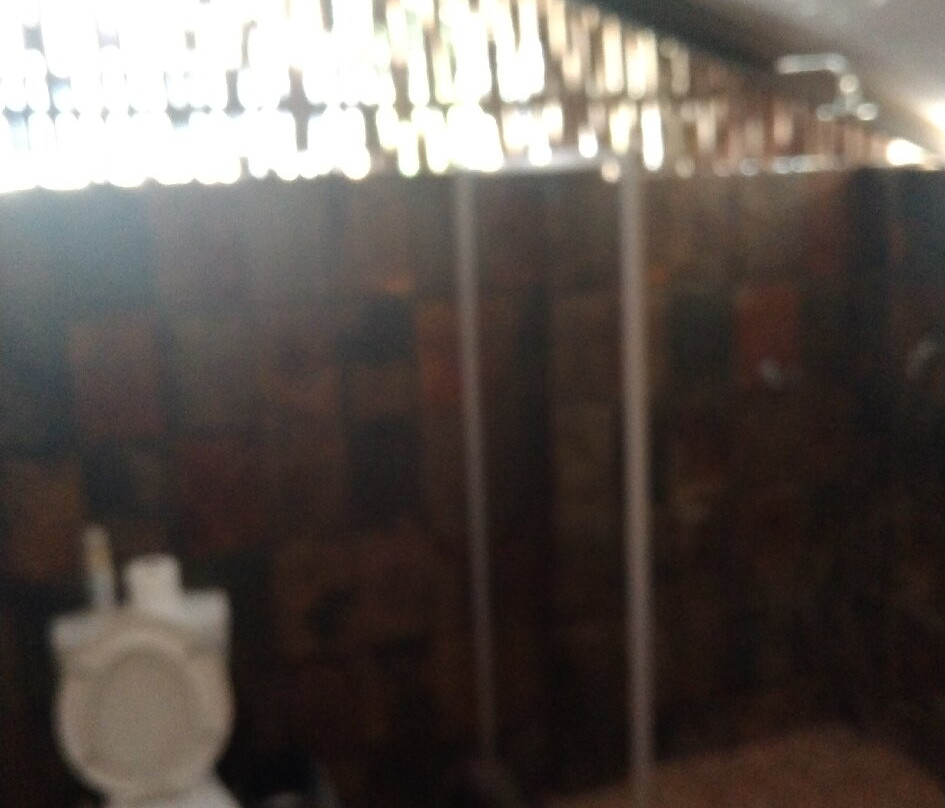 A Traveller's Palm主图