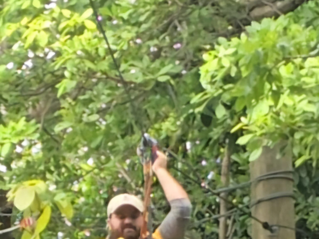 Treetop Trekking Miami-迈阿密必去景点