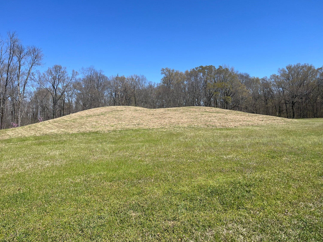 Poverty Point World Heritage Site景点图片