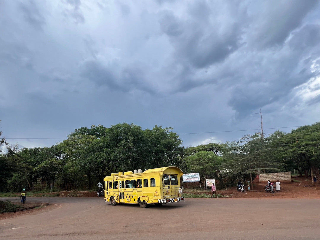Kilimanjaro Cultural Experience-乞力马扎罗山国家公园必去景点