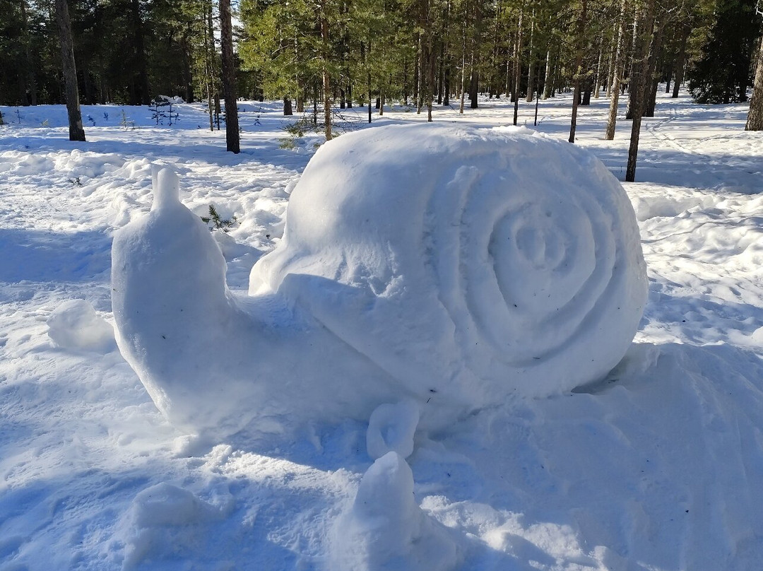 Ounasvaara Winter Trail-罗瓦涅米必去景点