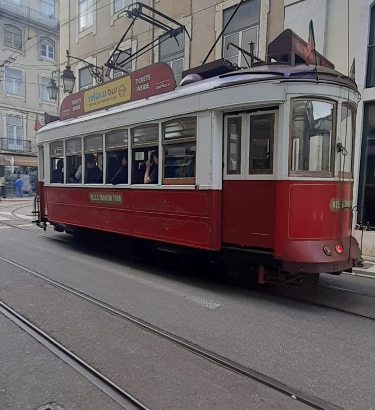 Yellow Boat Tour-里斯本必去景点