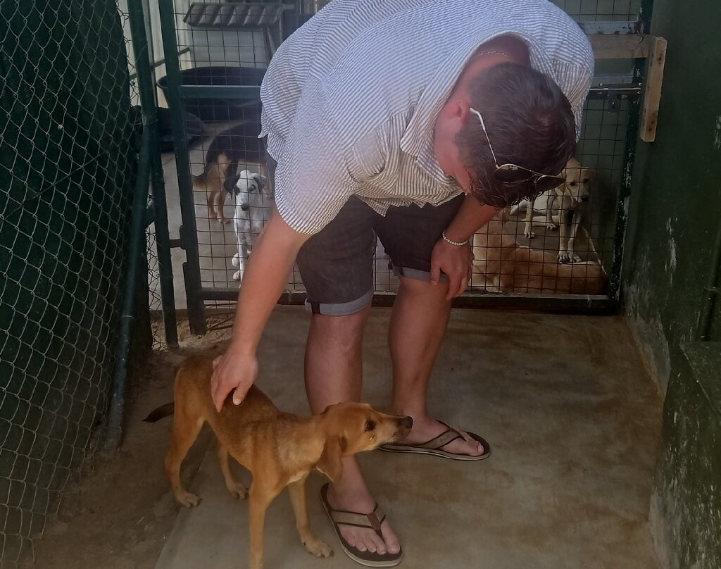 Happy Tails Dog Sanctuary-Baie du Cap必去景点