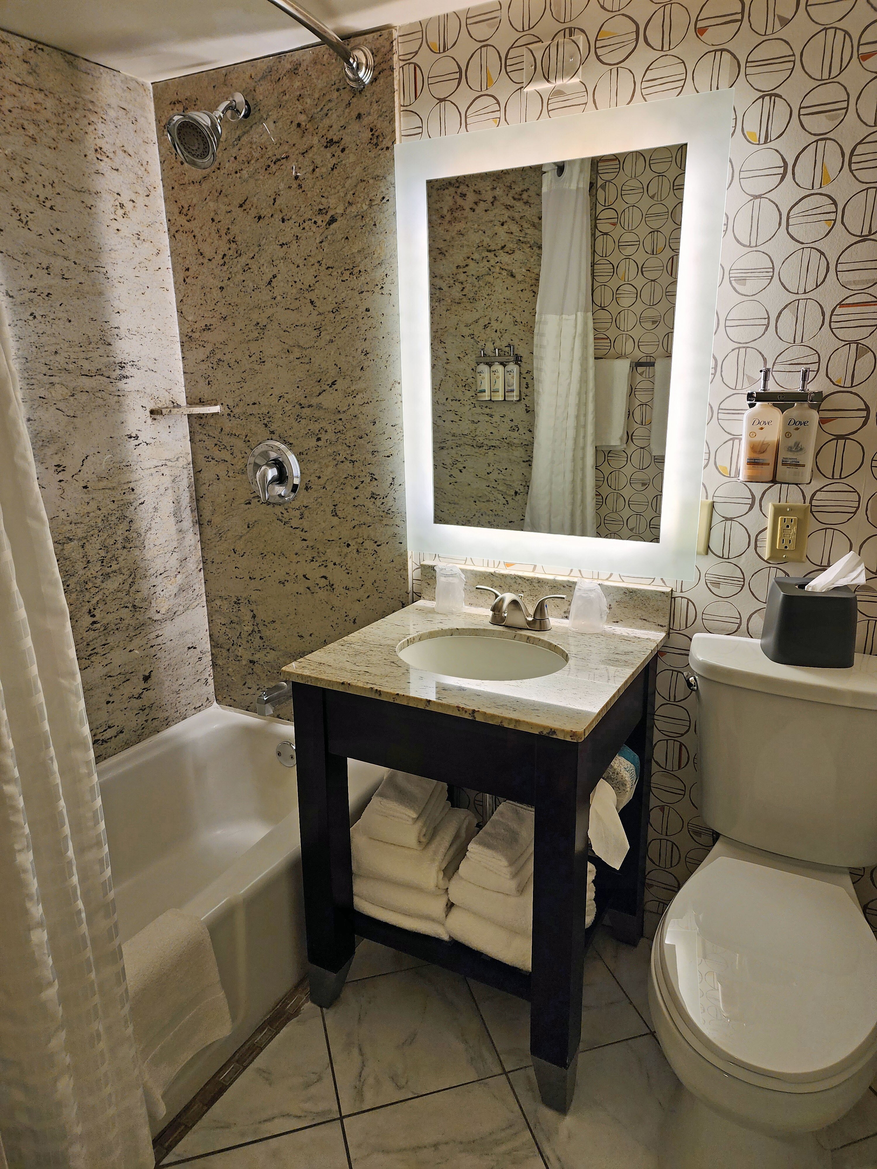 Holiday Inn Boston-dedham Htl & Conf Ctr By IHG-浴室