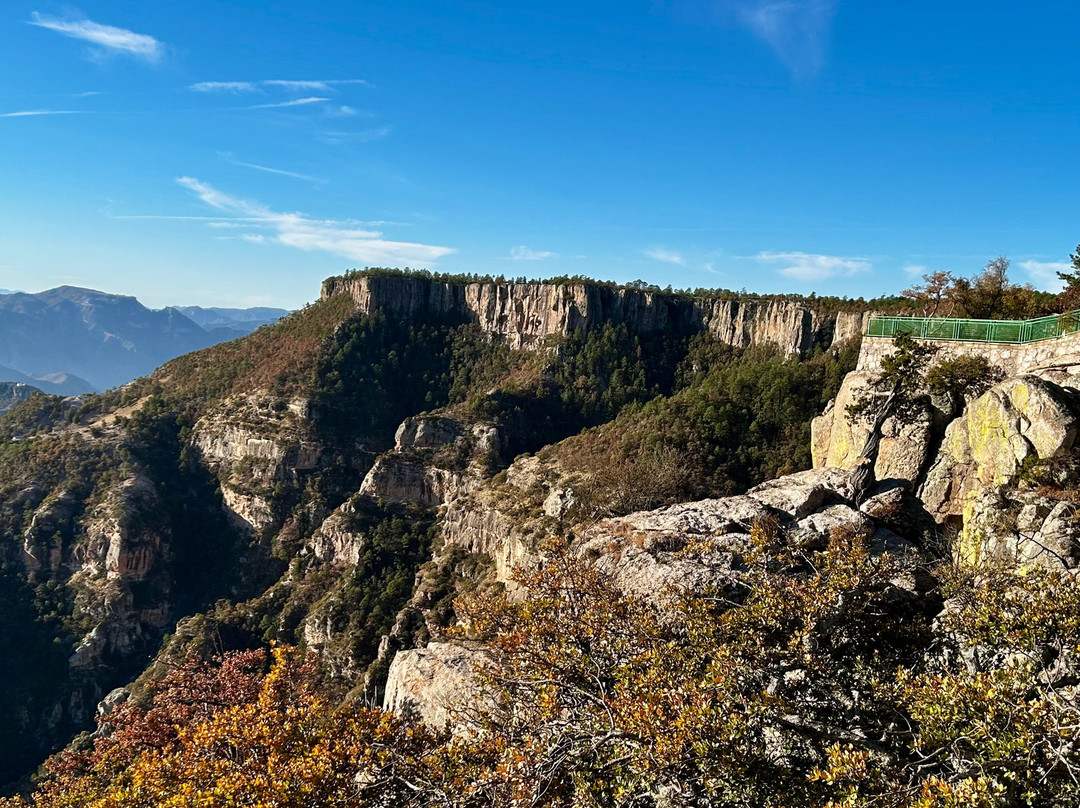 Experience Mex-ECO Tours-Melaque必去景点