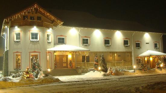 Pensiunea Manoir Mignon主图