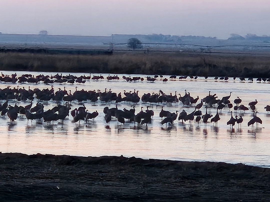 Crane Trust-Wood River必去景点