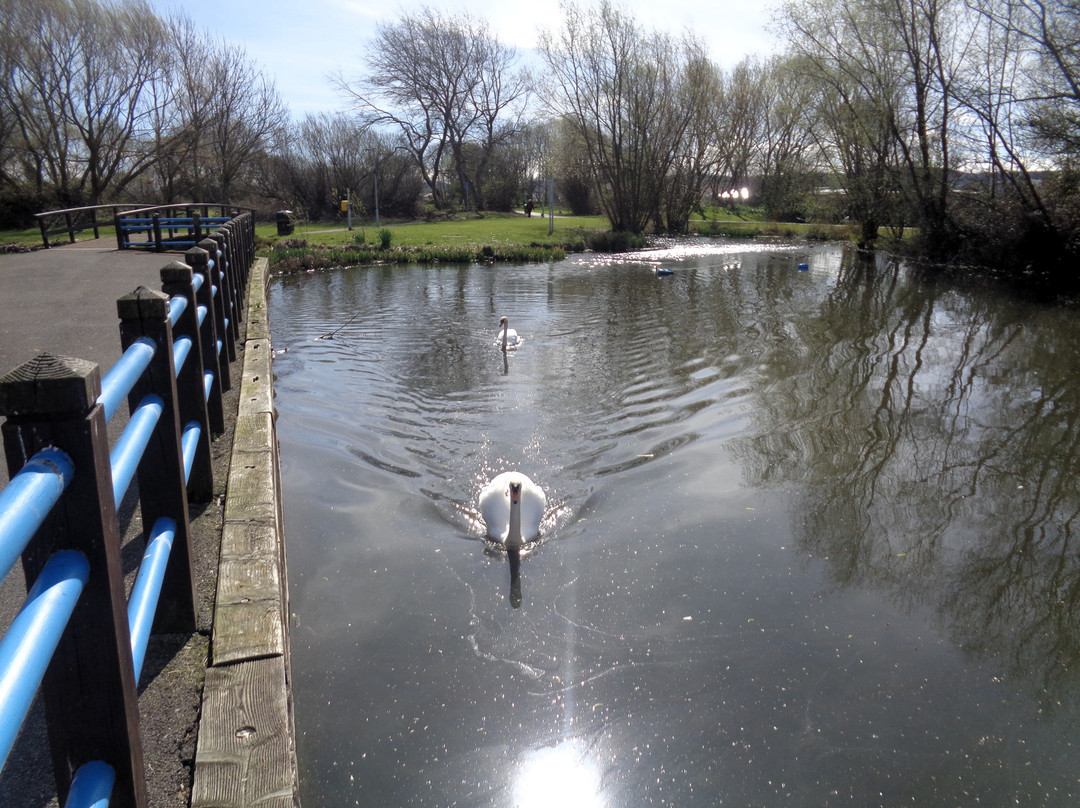 Towyn Park景点图片