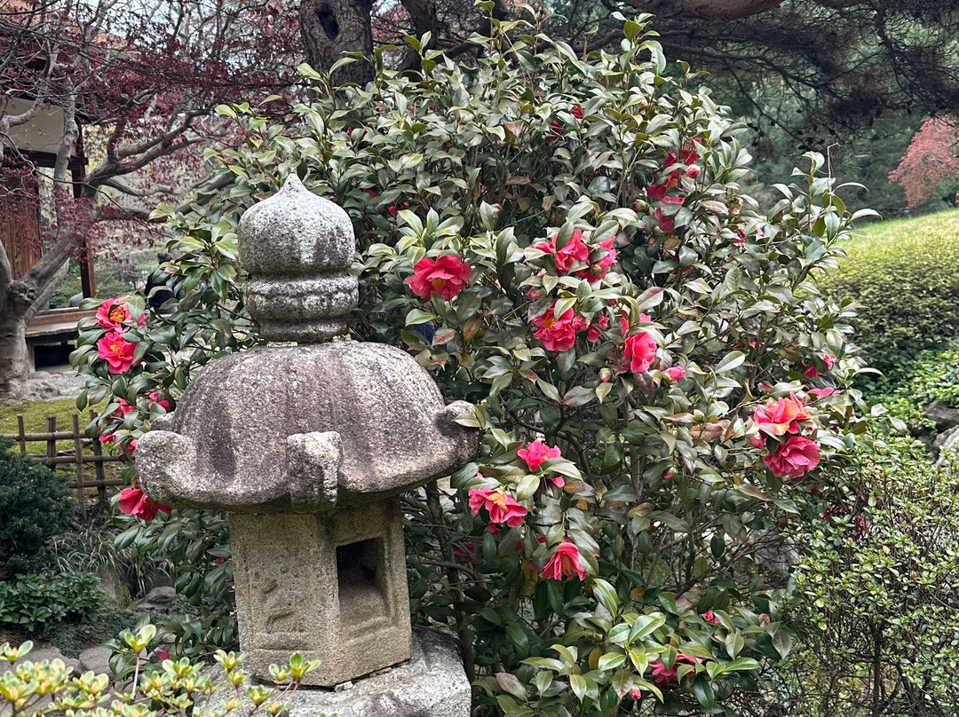 松风庄日本园林-费城必去景点