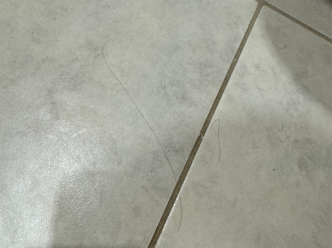 Amira Parc Hotel主图