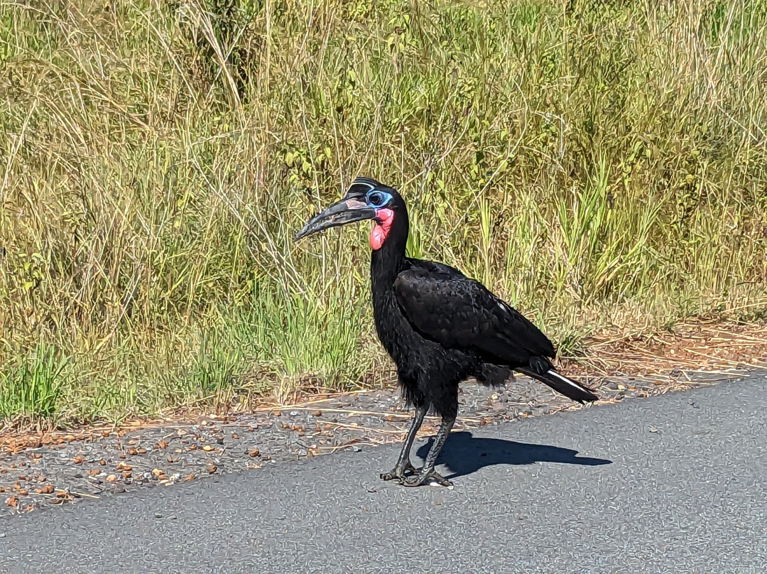 Muyaayu Wild Safaris-Mpigi必去景点