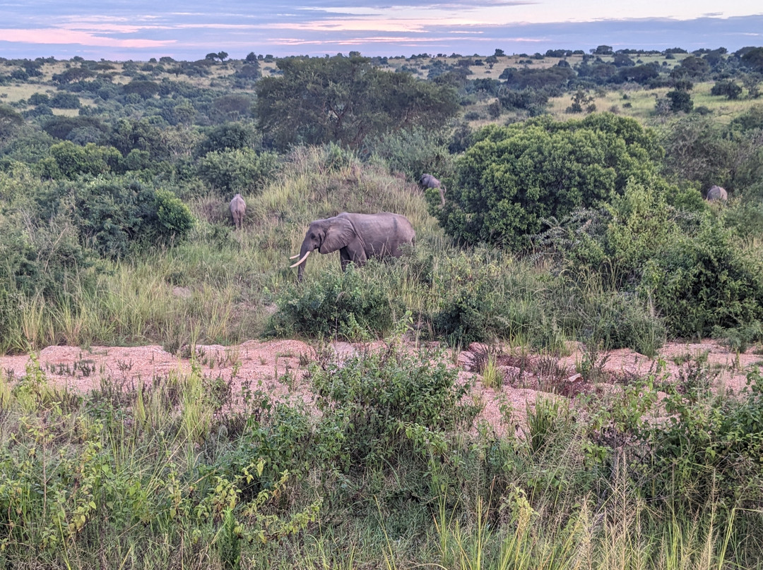Muyaayu Wild Safaris-Mpigi必去景点