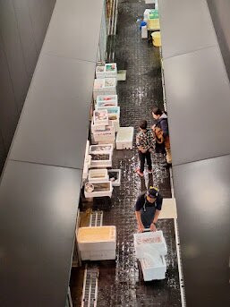Toyosu Market-Toyosu必去景点