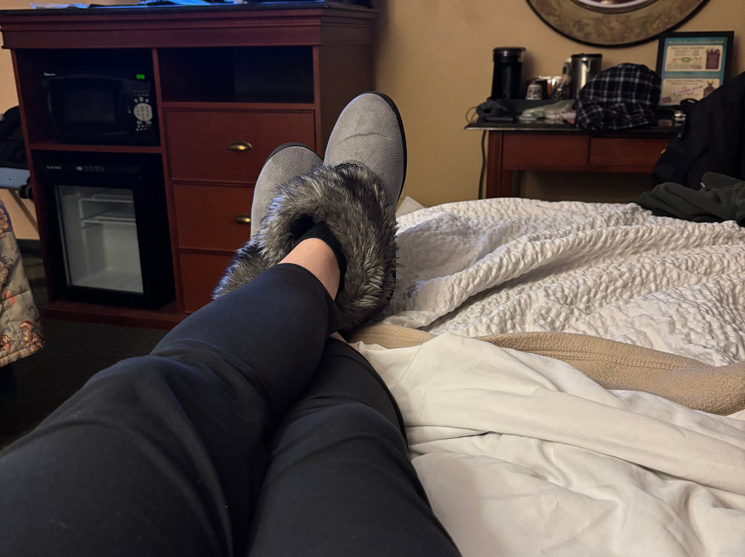 派克斯水畔旅馆主图