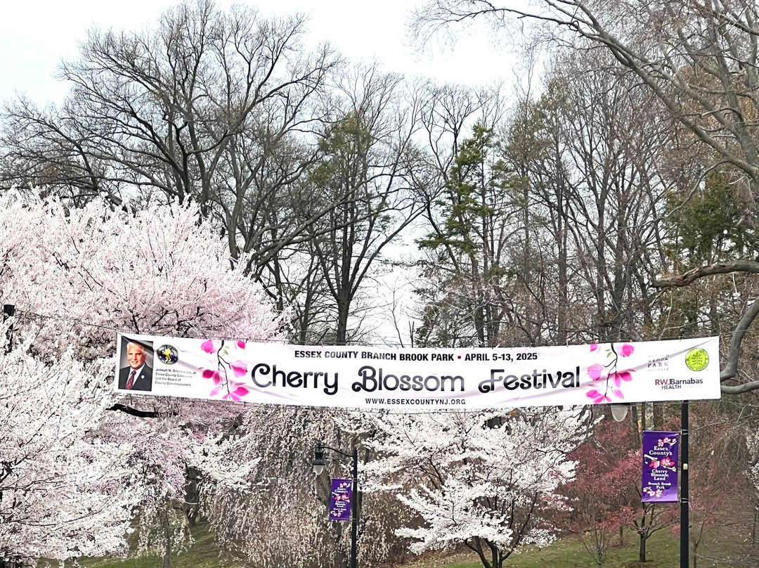 Branch Brook Park景点图片