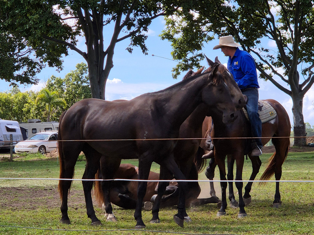 Susan River Homestead主图