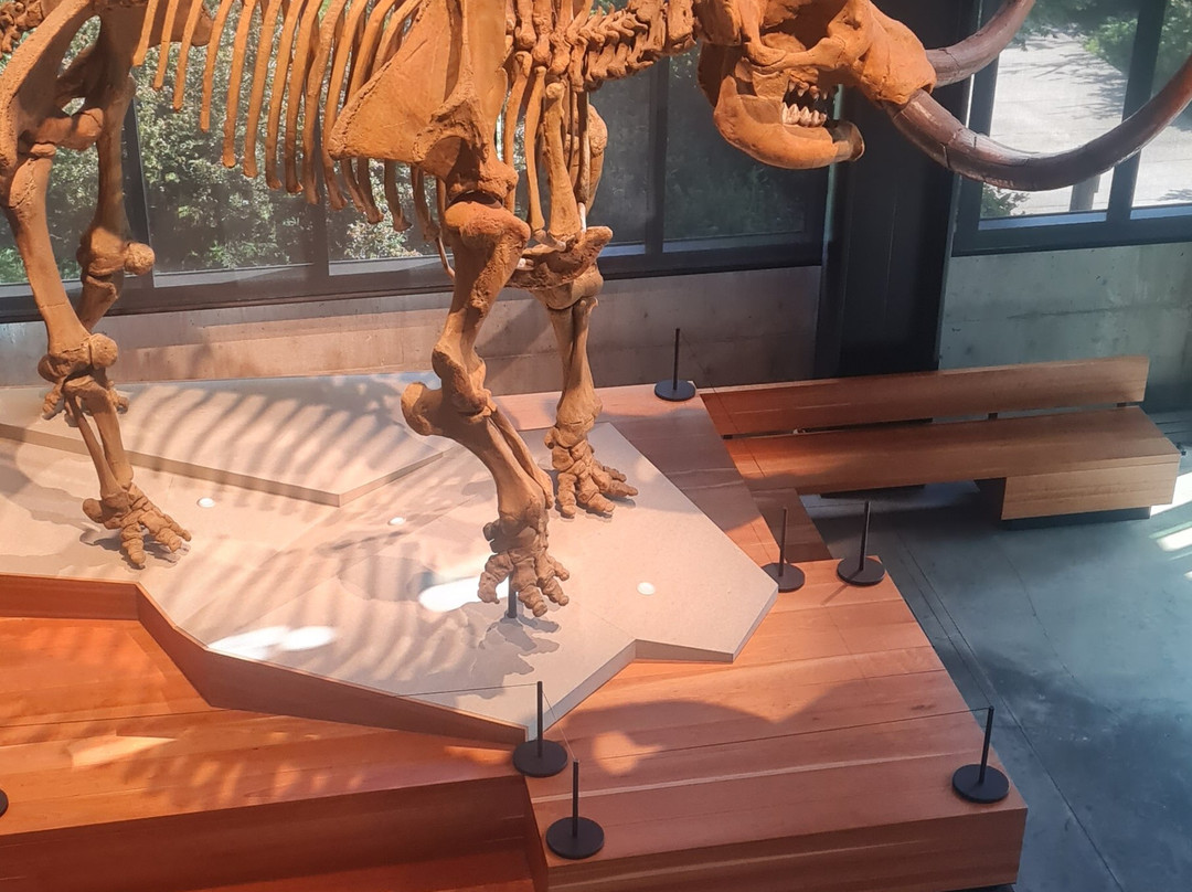 伯克自然历史和文化博物馆-西雅图必去景点