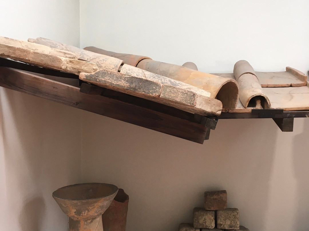 Museo Nazionale Etrusco Pompeo Aria景点图片