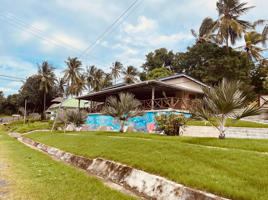 Dive Planet Mafia Island-Utende必去景点