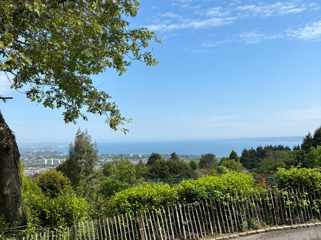 Belfast Zoo-Newtownabbey必去景点
