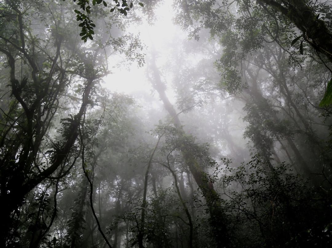Pico do Marumbi State Park-Morretes必去景点
