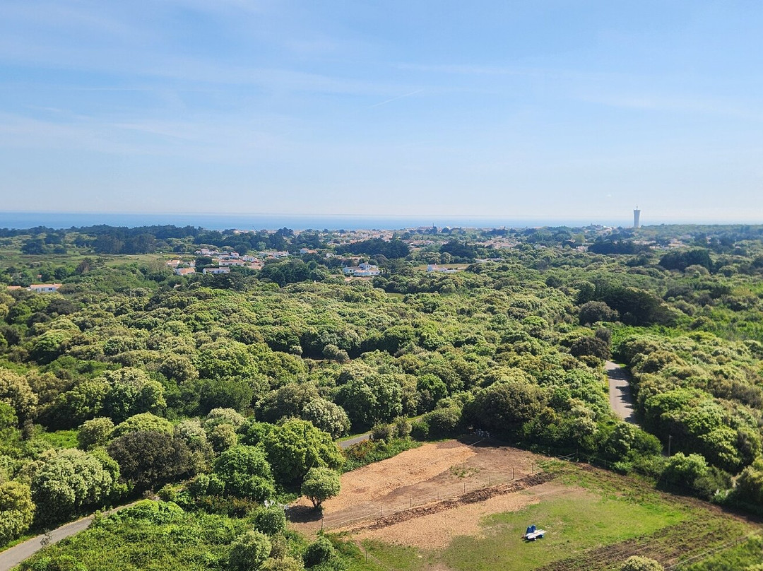 Le Grand Phare-Ile d'Yeu必去景点