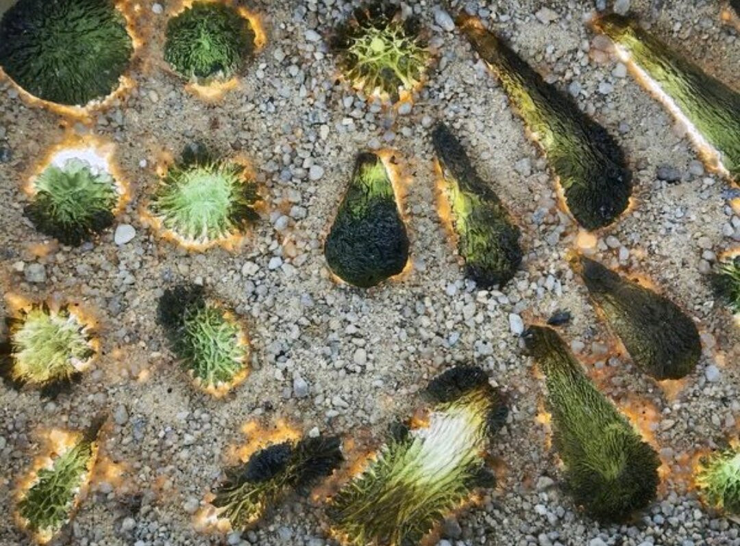 Moldavite Museum - Muzeum vltavinu-克鲁姆洛夫必去景点