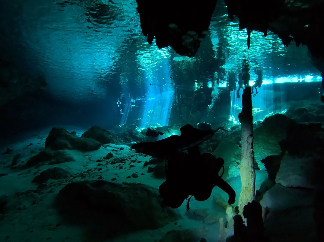 The Dive Machine-普拉亚德尔卡曼必去景点