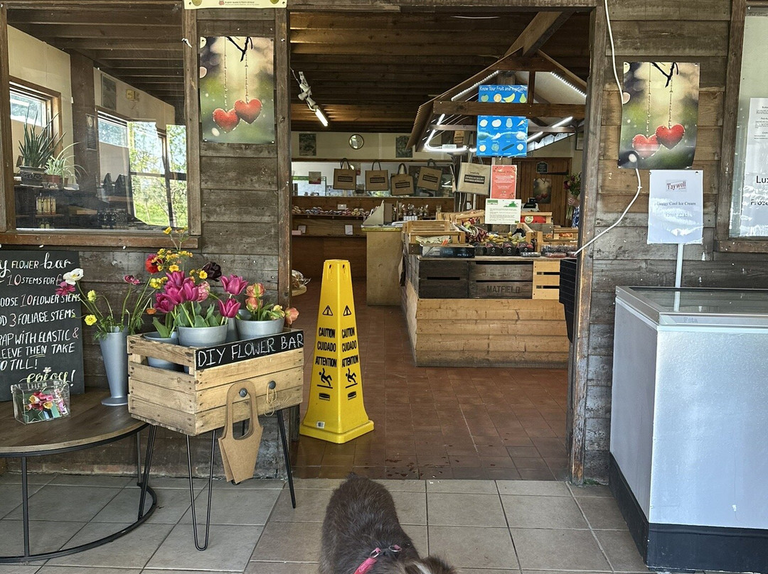 Downingbury Farm景点图片