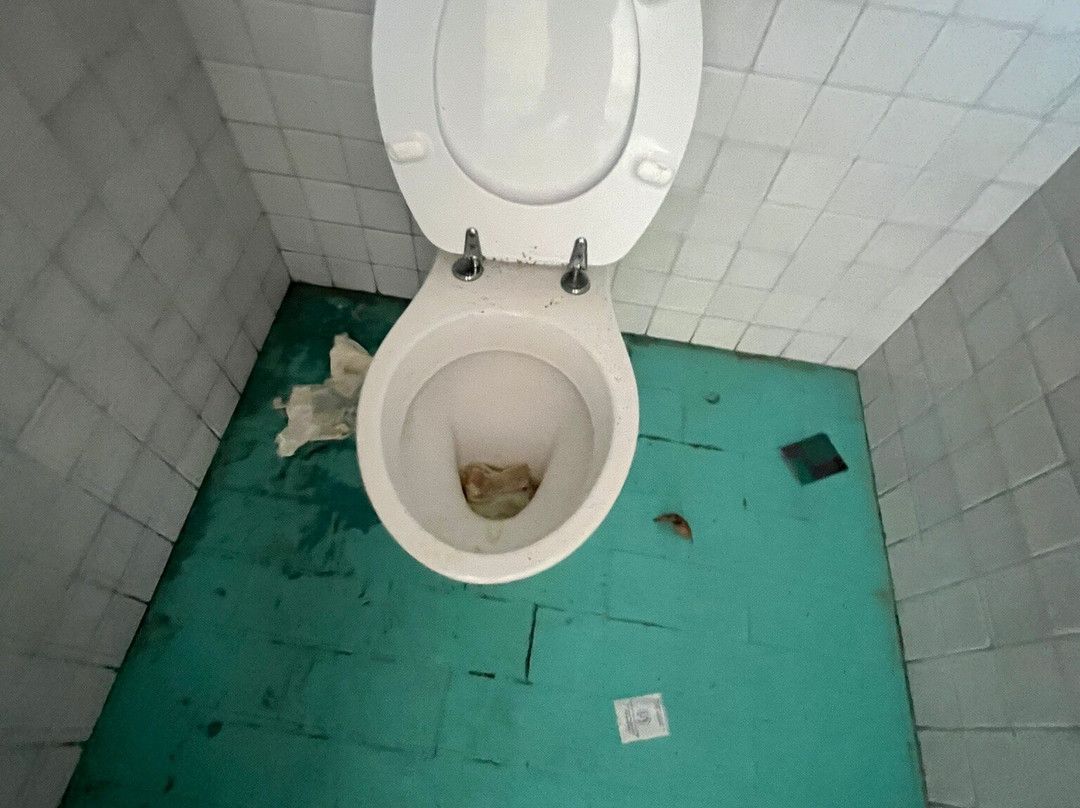 Parco Junior-利尼亚诺萨比亚多罗必去景点