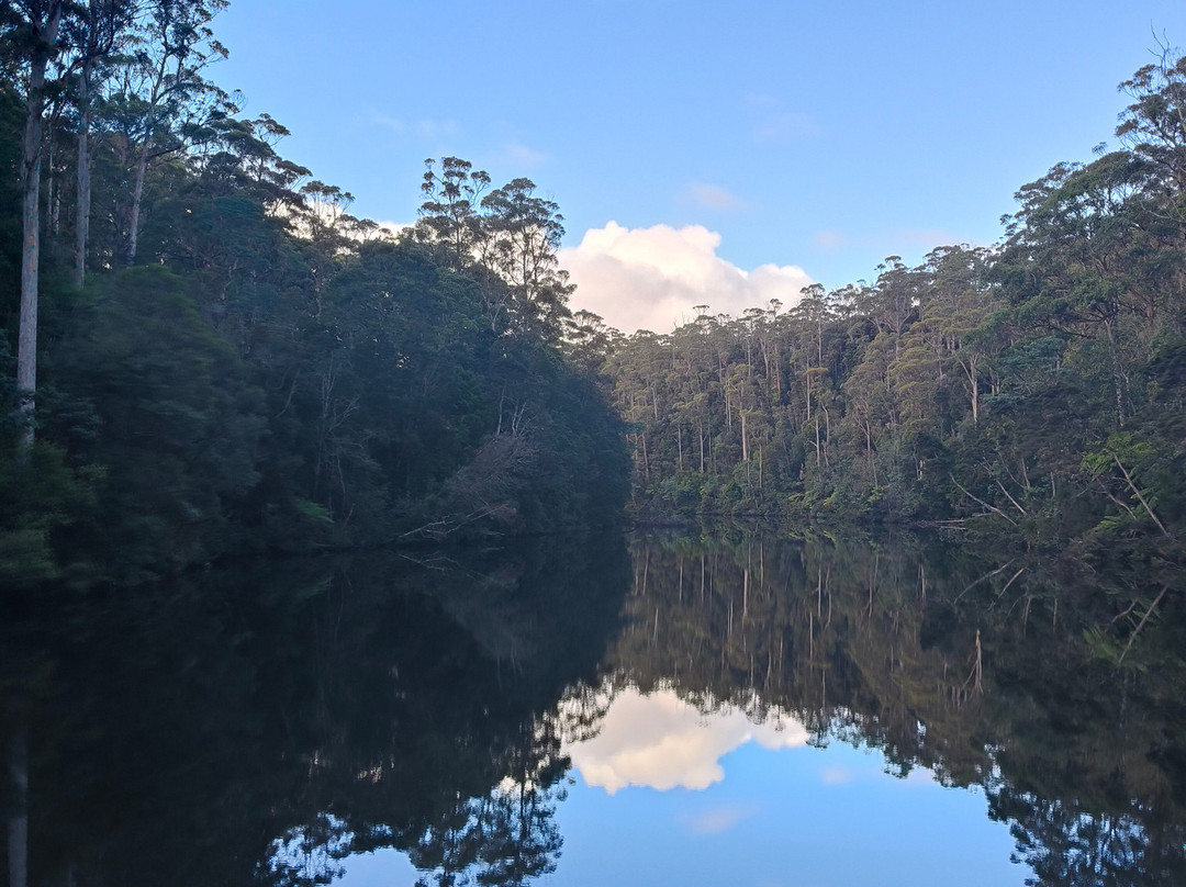 Arthur River Cruises-Arthur River必去景点