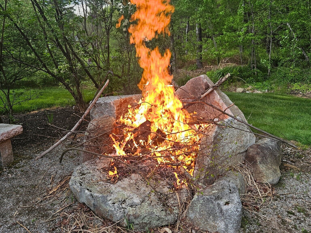 肉荳蔻酒店主图