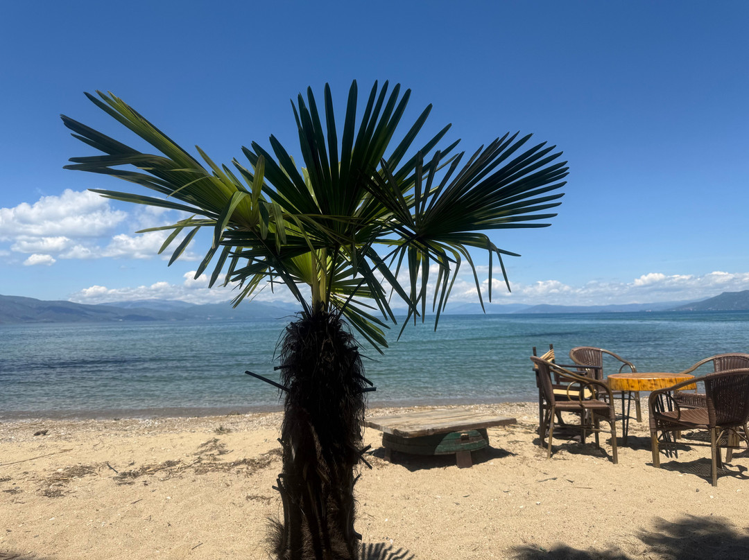 OHRID TRANSFER TOURS景点图片