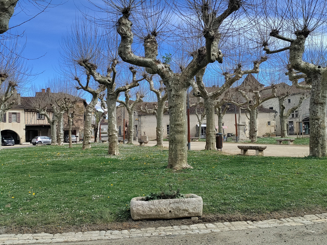 La bastide de Fourcès-Fources必去景点