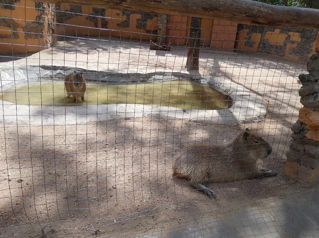 Bioparque Estrella México-San Juan Tuxtepec必去景点
