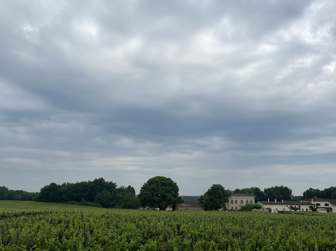 摩尔城堡酒店主图