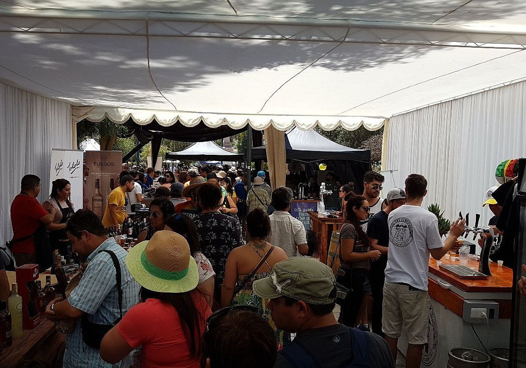 Torre Bauer-Vicuna必去景点